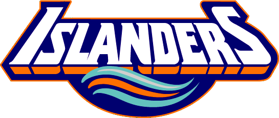 New York Islanders 1995-1998 Wordmark Logo iron on heat transfer